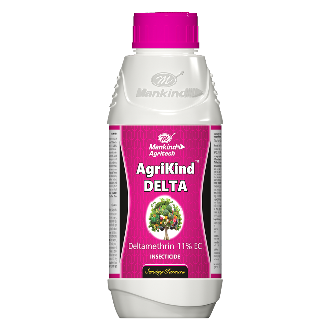 Organic Fertilizer